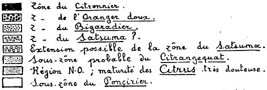 Interpr�tation des zones de culture possible des agrumes (1951).
